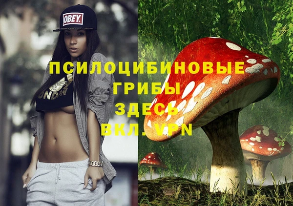 спайс Алексин