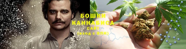 гидра Алзамай